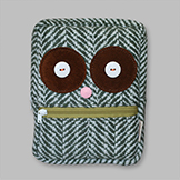 Face-Pocket Owl