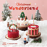 Christmas Wonderland…